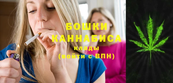 МДМА Гатчина
