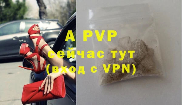 PSILOCYBIN Краснослободск