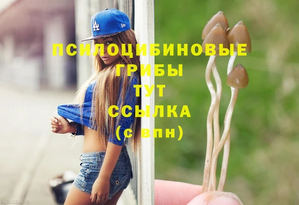 СК Краснотурьинск